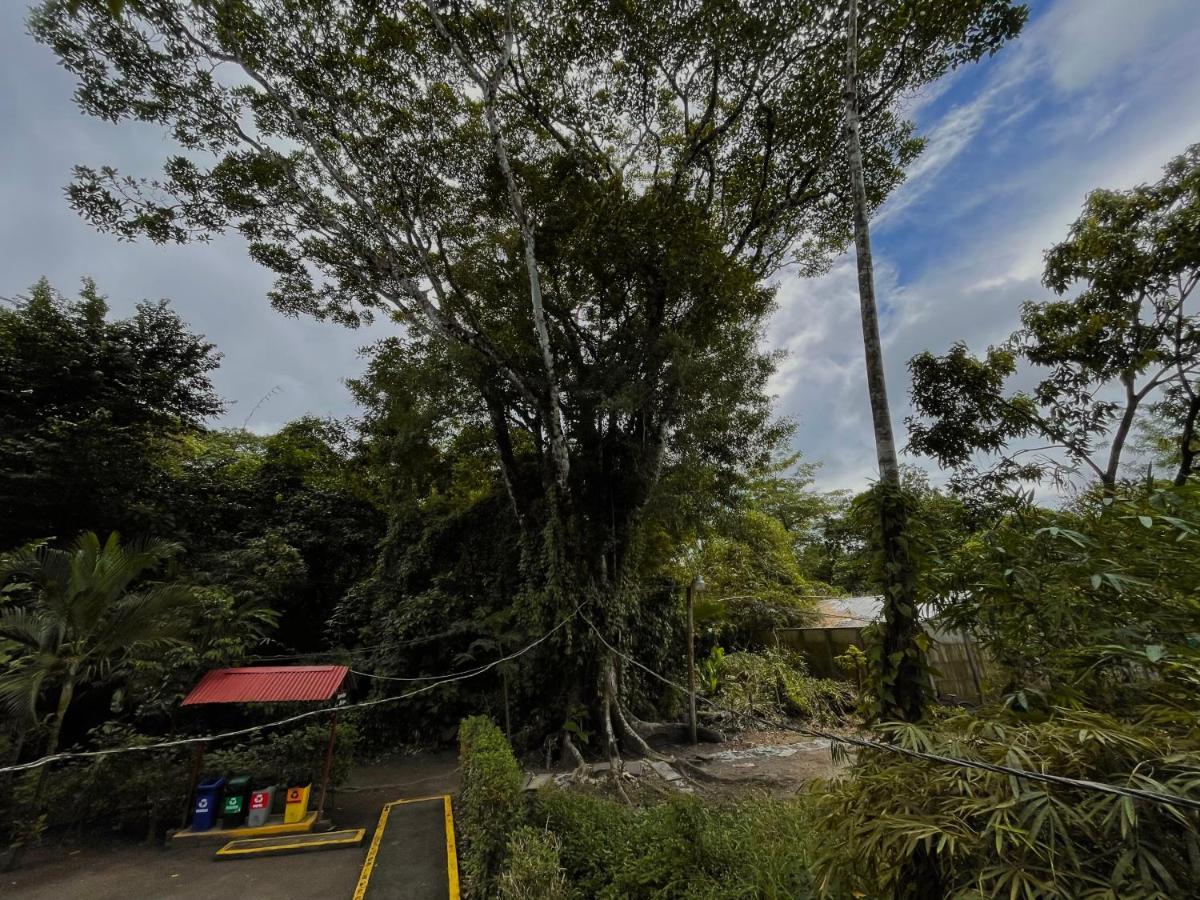 Los Amigos Jungle Hotel Tortuguero Exterior photo
